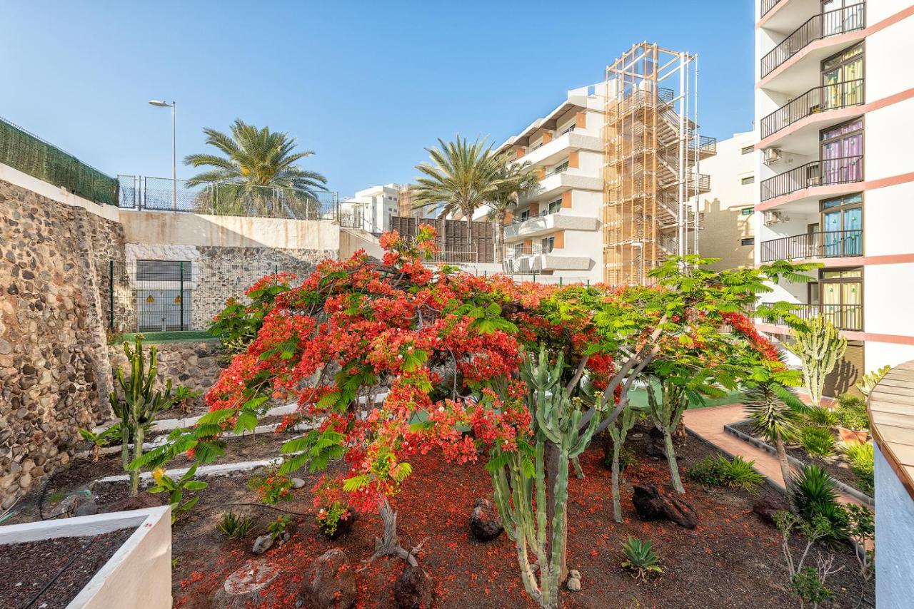 Pulpo Amarillo Apartment Playa del Ingles  Luaran gambar